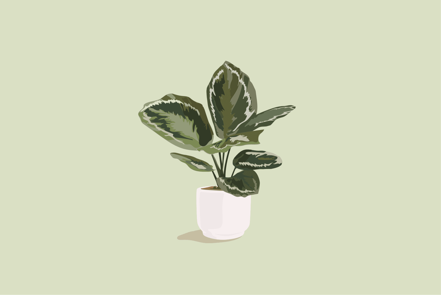 물꽂이로 뿌리 내리는 기간?